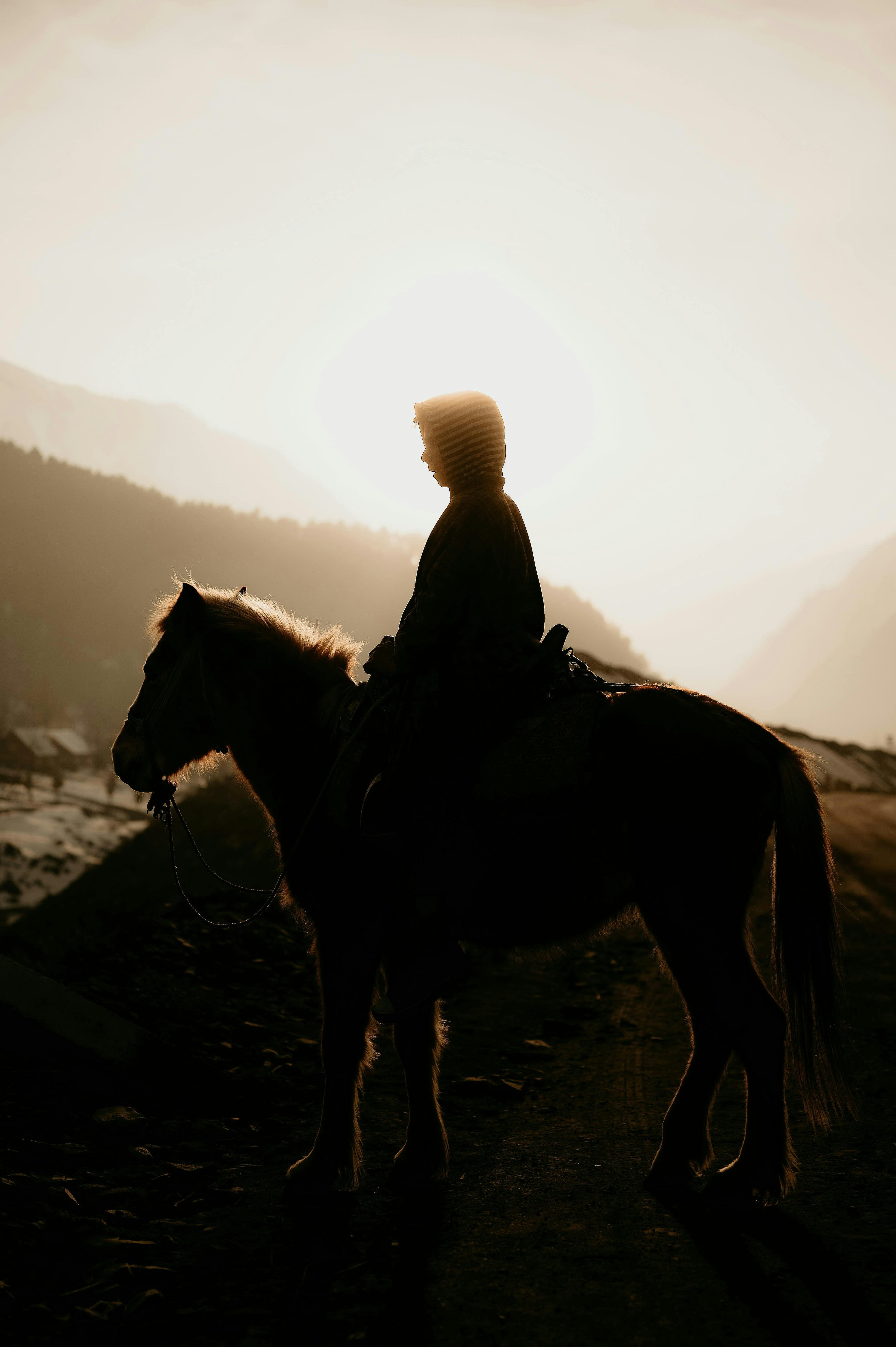 Rider on horseback at sunset